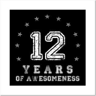 Vintage 12 years of awesomeness Posters and Art